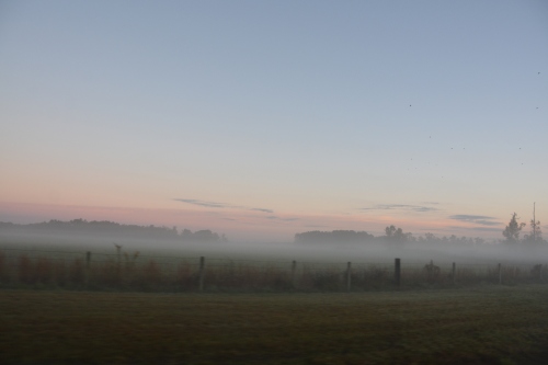 foggy fence sunrise